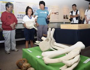 クジラの骨を抱えて重さを体感する児童＝海陽町四方原の町立博物館