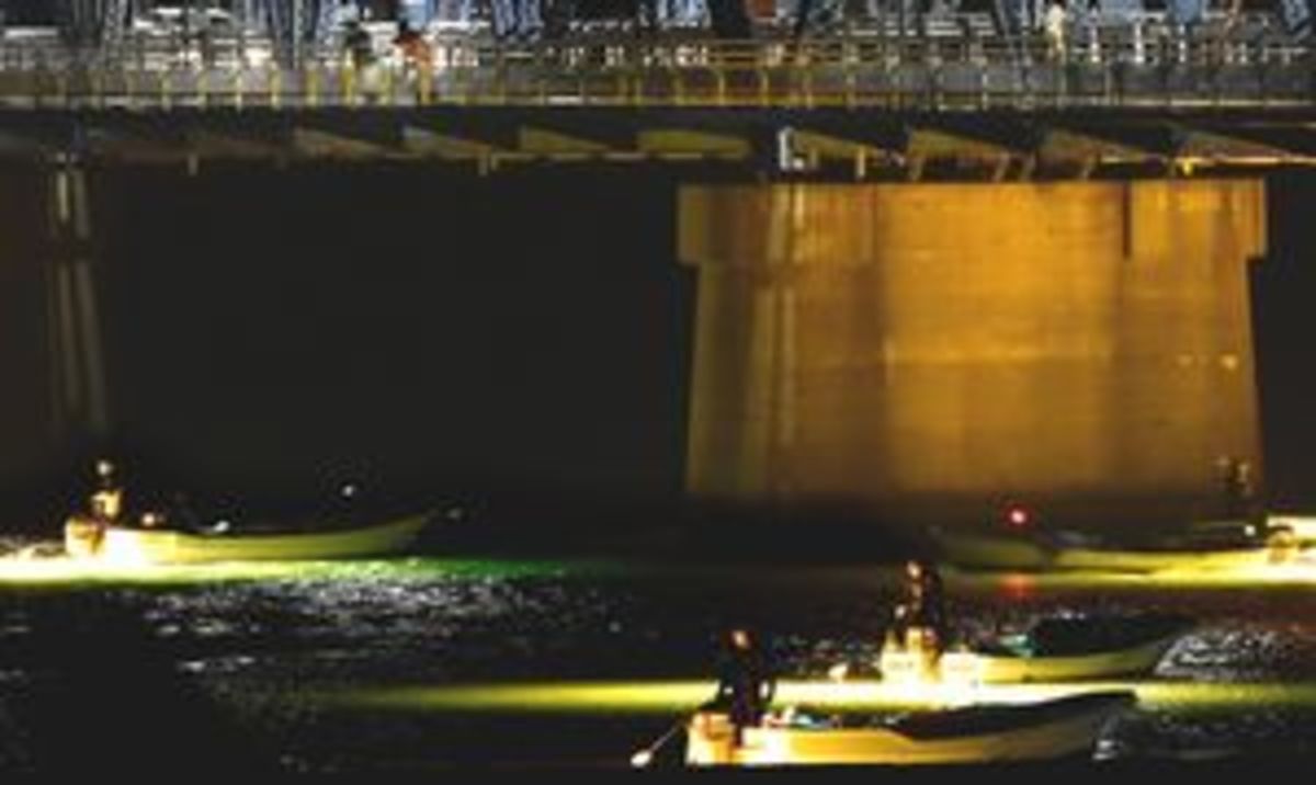 暗闇の水面 幻想的な光 シラスウナギ漁盛ん 徳島ニュース 徳島新聞