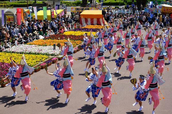 徳島の春の祭典「はな・はる・フェスタ」中止へ