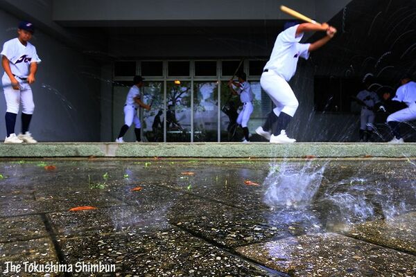 12日の夏の高校野球徳島大会は雨で順延