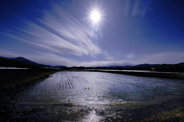 氷結した田んぼ月光に輝く　阿波市の善入寺島
