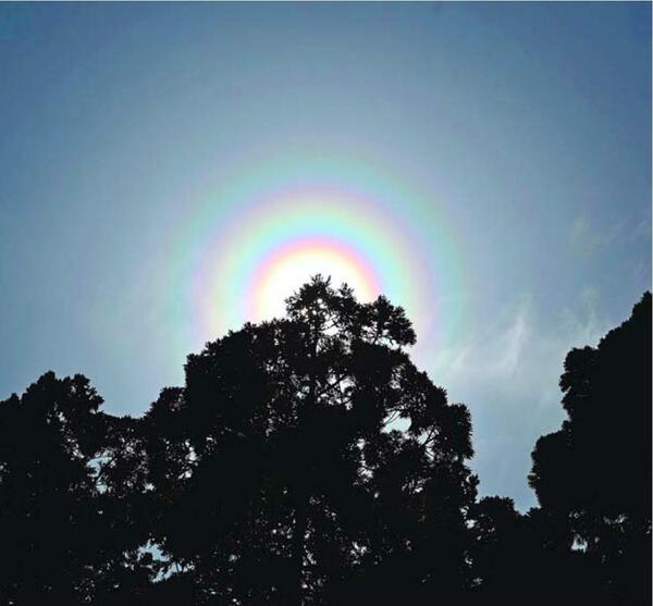 太陽に虹色の輪「花粉光環」海陽の男性撮影　スギ花粉飛散ピーク