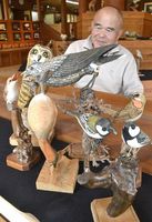 野鳥の木彫作品を制作した前田さん＝佐那河内村上の県立佐那河内いきものふれあいの里ネイチャーセンター