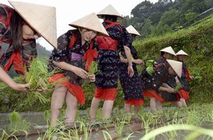早乙女姿で田植えを体験する女性たち＝上勝町生実の「樫原の棚田」