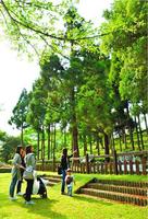 上皇ご夫妻が植えられた杉とヤマモモに見入る親子連れ=神山町の県立神山森林公園イルローザの森