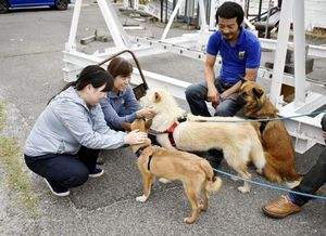 譲渡会で犬と触れ合う参加者＝徳島市万代町