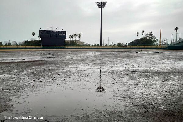 県高校野球春季大会、雨天中止で日程変更