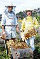 養蜂に励む梶浦艶さん（右）と夫の裕樹さん＝吉野川市川島町学