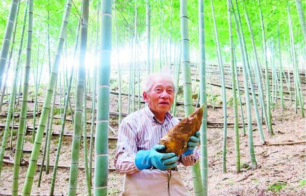 「自然と対話しながら伝統の技を受け継いでこそ特産を守れる」　タケノコ農家・長野さん