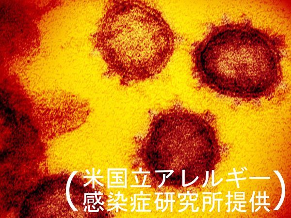 風俗 店 コロナ 風俗業界の新型コロナウイルスの影響と感染予防対策