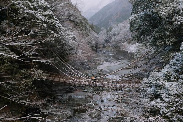かずら橋が雪化粧　15日県内各地、今季一番の寒さ