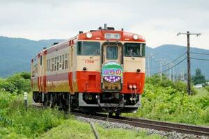 　臨時列車として走った、国鉄時代を再現して塗装されたキハ４０＝２日午後、北海道富良野市