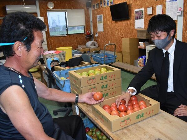 苦境のトマト農家支援　海陽のコンサルがキャンペーン