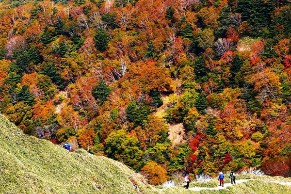 秋色、山々駆ける　西日本第２の高峰・剣山