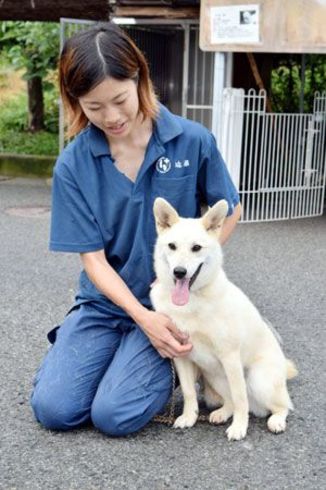 熊本地震被災の雌犬 ２４日譲渡会 県愛護センター 徳島ニュース 徳島新聞
