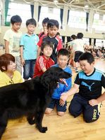 「いぬねこまもり隊」が開いたふれあい教室で、飼い犬に触れる児童＝鳴門西小学校