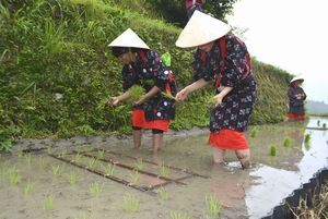 早乙女姿で田植えを体験する女性たち＝上勝町生実の樫原の棚田