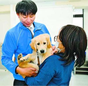 盲導犬候補犬を預かるパピーウオーカーの女性(右)=徳島市沖浜東1の徳島の盲導犬を育てる会事務局