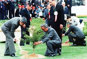全国植樹祭で、杉の苗木を植えられる天皇陛下=1989年5月21日、神山町