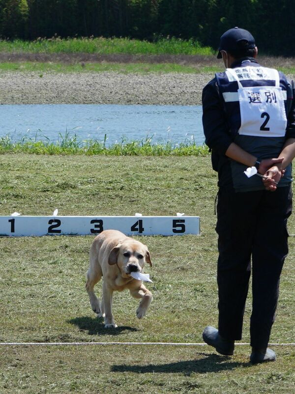 においたどって追跡　徳島市で警察犬競技会