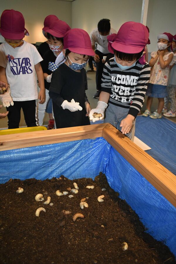 カブトムシと触れ合って　飼育展示始まる　那賀川図書館