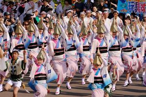 「春らんまん阿波おどり」で、息の合った踊りを見せる有名連＝徳島市の藍場浜公園