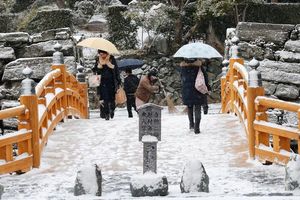 降りしきる雪の中、慎重に徳島中央公園の数寄屋橋を渡る人たち＝午前８時４０分ごろ、徳島市徳島町城内