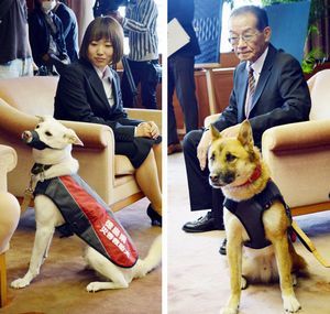 ［右］県災害救助犬に認定された玄と北浦さん［左］モナカと岡本さん＝いずれも県庁
