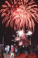 新年の訪れを祝って打ち上げられたカウントダウン花火＝小松島市小松島町の小松島みなと交流センターｋｏｃｏｌｏ前