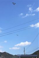 那賀町木頭北川の上空を飛ぶ、オスプレイとみられる機体＝５日午後０時５０分ごろ（提供写真）