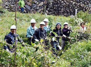 山に茂った雑木を除去する住民と参加者＝神山町神領の谷地区