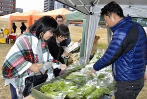 新鮮な野菜が並ぶファーマーズマーケット＝徳島大常三島キャンパス