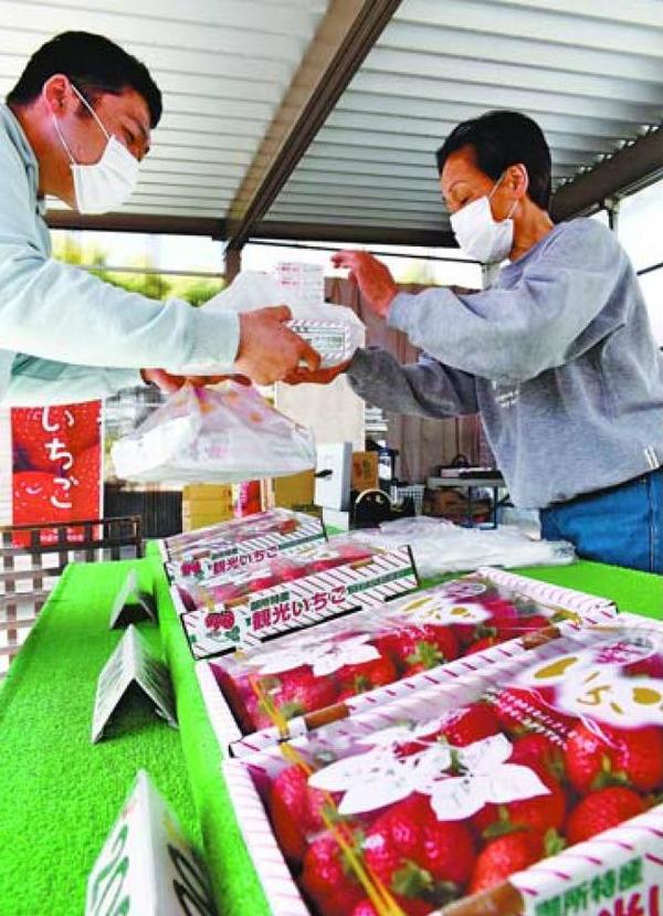 イチゴ甘い香り 徳島 土成町の直売所にぎわう 徳島の話題 徳島ニュース 徳島新聞電子版