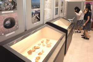 県内の遺跡から出土した焼き物などを展示した「２０１６発掘とくしま」＝県立埋蔵文化財総合センター・レキシルとくしま