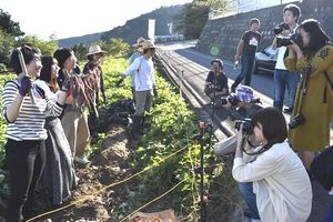 芋掘り体験の様子を撮影する参加者=東みよし町東山の法市集落