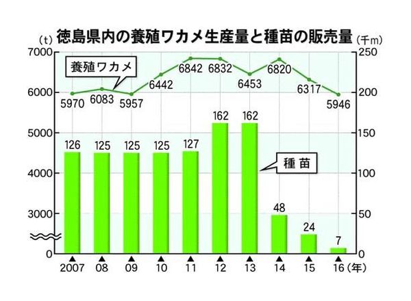 徳島県産ワカメ生産量が過去10年最少 温暖化が影響 徳島ニュース 徳島新聞電子版