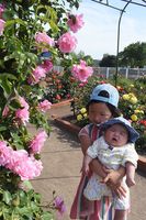 色とりどりのバラを楽しむ子ども=藍住町矢上の町バラ園