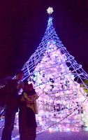 約３０万個のＬＥＤ電飾が光り輝く「ＡＮＡＮ　ルミナスタウンプロジェクト」＝阿南市富岡町の牛岐城趾公園