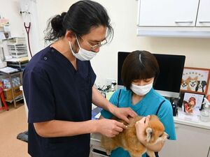 マイクロチップの装着について説明する三谷院長(左)=徳島市のあけぼの動物病院