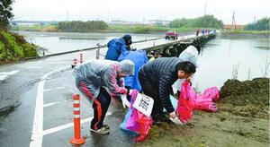 とくしまマラソンのコース沿いを清掃する参加者=徳島市北矢三町2