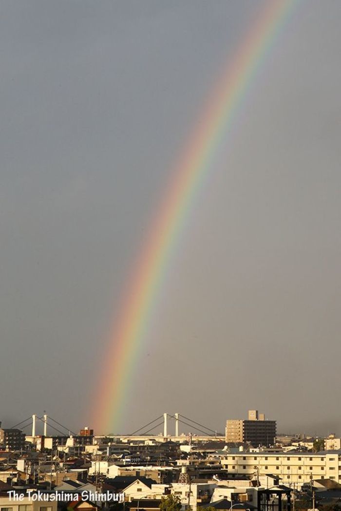 雨上がり虹のアーチ 徳島市 徳島の話題 徳島ニュース 徳島新聞