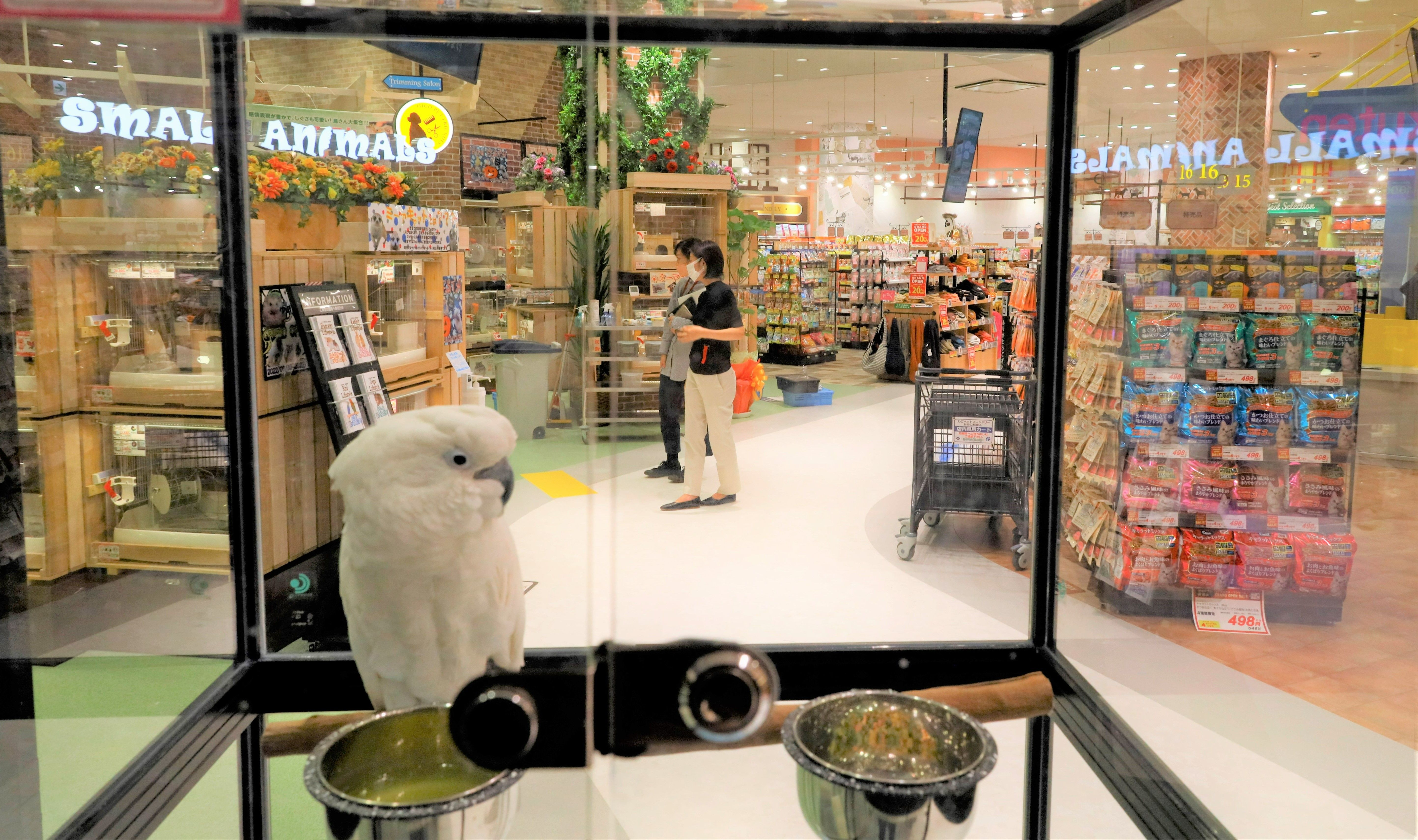 ペットショップ「ひごペットフレンドリー」が徳島初出店　県内最大級規模でゆめタウン1階にオープン