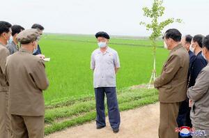 　北朝鮮黄海南道の農場を視察する金徳訓首相（中央）。朝鮮中央通信が２５日報じた（朝鮮通信＝共同）