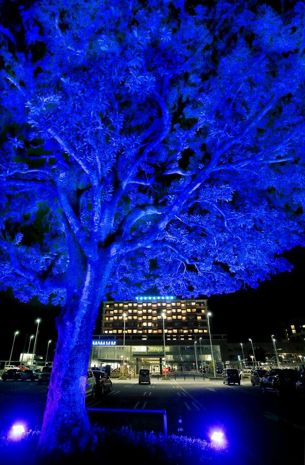 「世界糖尿病デー」　徳島県立中央病院、青にライトアップ