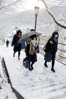 雪が積もった階段を上り、登校する高校生ら＝午前８時ごろ、三好市池田町ウエノ
