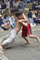 白熱した取組を繰り広げる子ども＝鳴門市撫養町木津の金刀比羅神社