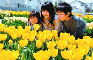 満開の花に笑顔の子ども=北島町中村の北島チューリップ公園