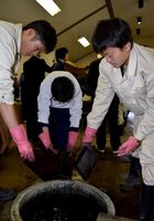 スギ板の藍染に挑戦する生徒たち＝小松島市の小松島西高校