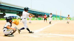 例年7、8月に吉野川南岸グラウンドで開催されていたこども野球のつどい。今年から県学童選手権大会と一本化されることが決まった=2019年7月、徳島市内