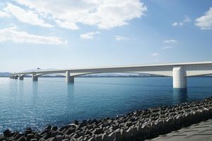 西日本高速道路が吉野川河口に建設を予定している橋の完成イメージ（同社提供）